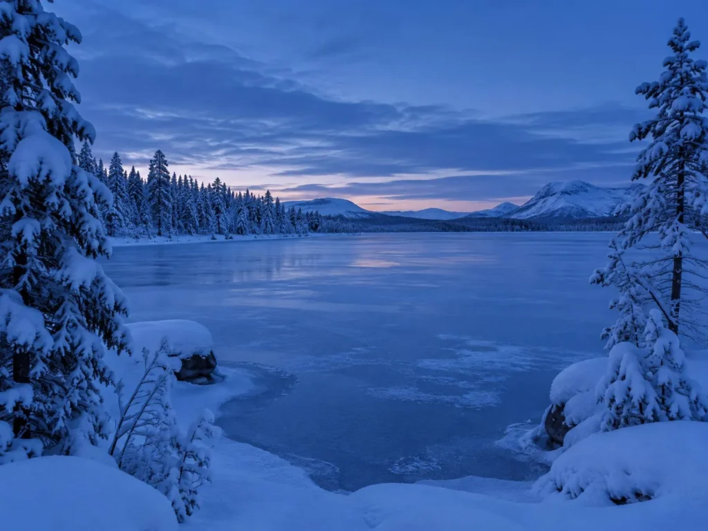 Snowy Arctic forest in winter